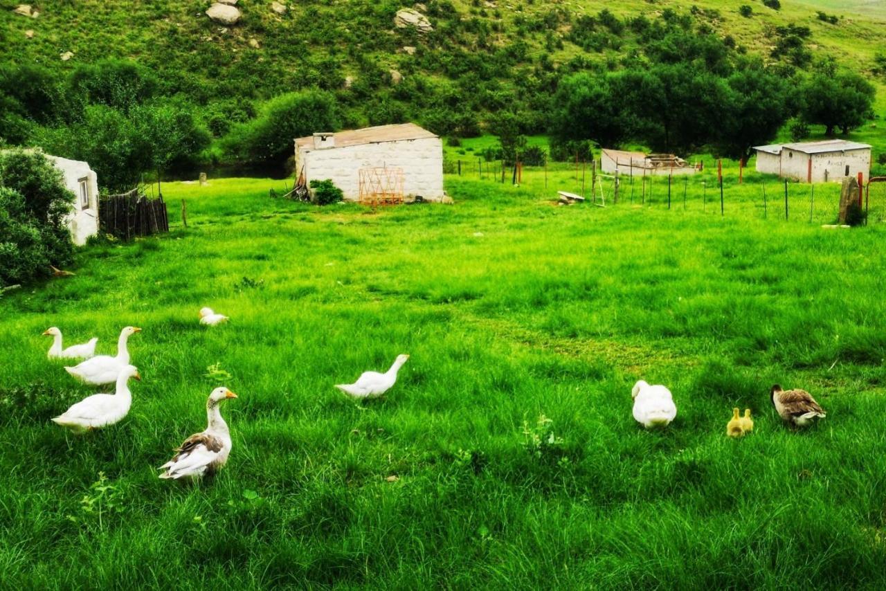 Oban Historical Guest Farm Villa Van Reenen Exteriör bild
